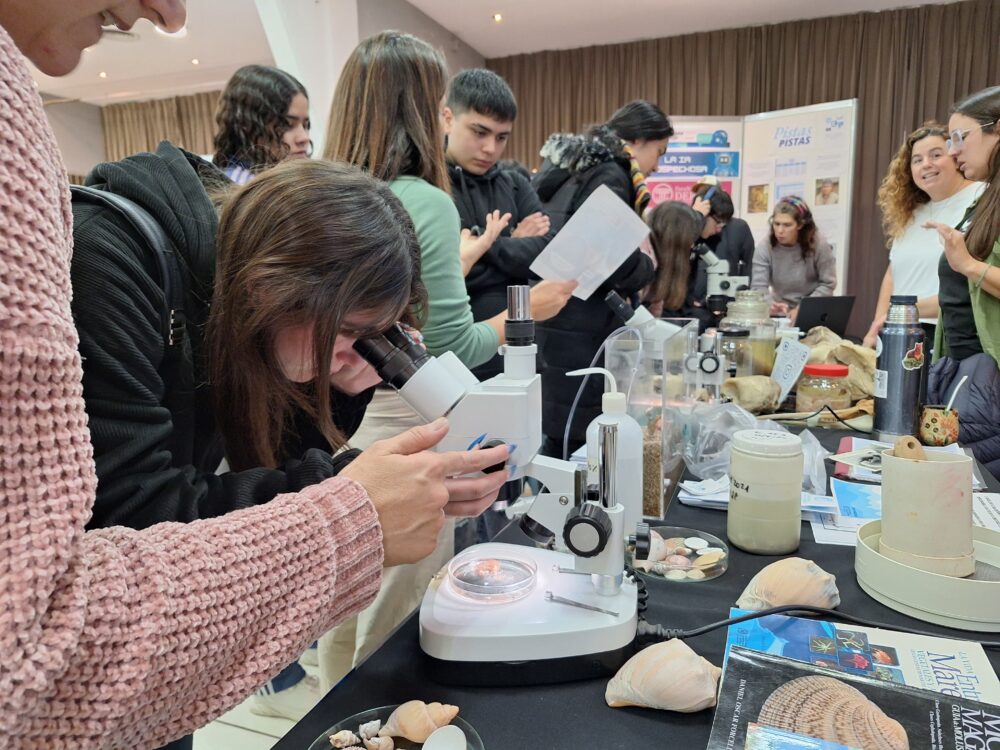 WhatsApp Image 2025-06-11 at 12.03.16