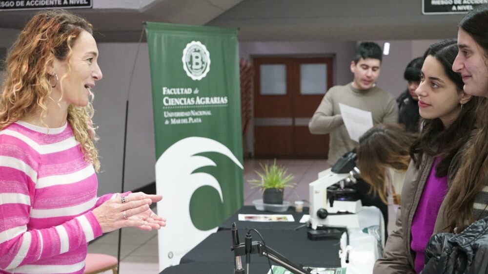 WhatsApp Image 2025-06-11 at 18.30.37 (1)