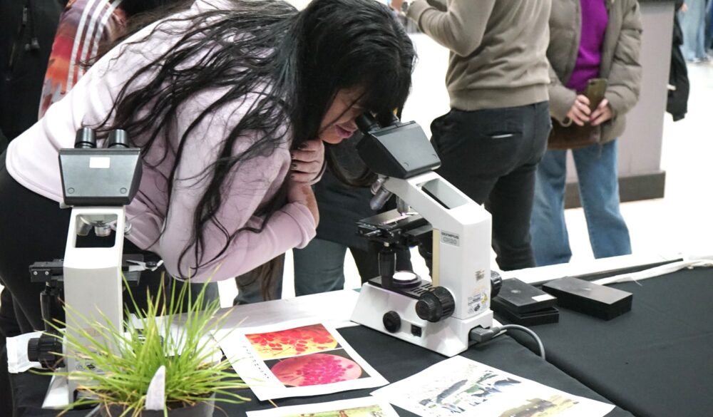 WhatsApp Image 2025-06-11 at 18.30.37